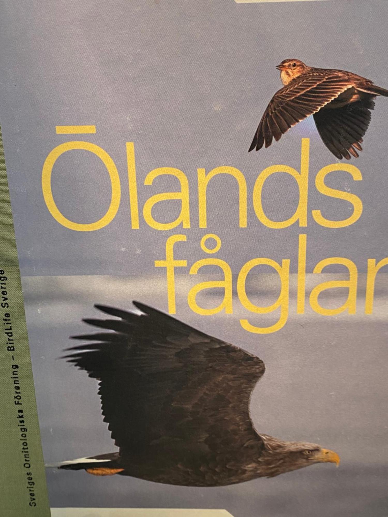 Апартаменти Idyliska Boende Mitt Pa Oeland Фер'єстаден Екстер'єр фото